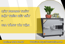 Cây phong thủy đặt trên két sắt giúp gia tăng tài vận