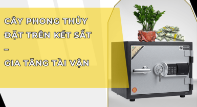 Cây phong thủy đặt trên két sắt giúp gia tăng tài vận