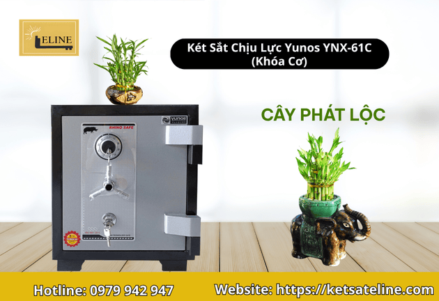 cây phong thủy đặt trên két sắt
